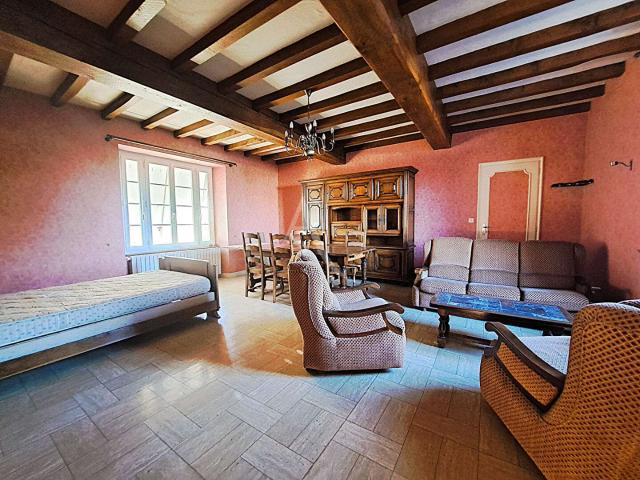 Maison vente à La Roche-sur-Yon, L'oie