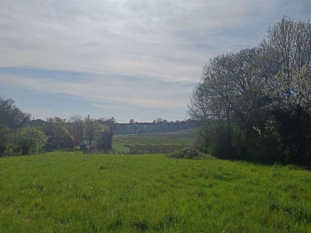 Maison vente à Bourges, Montigny