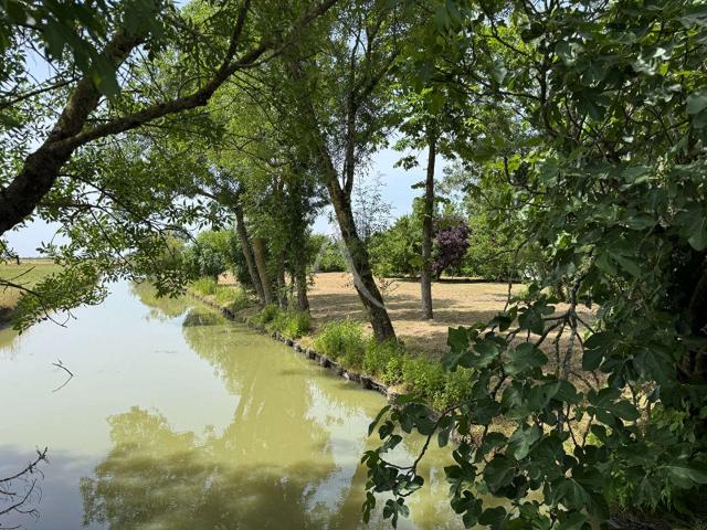 Maison vente à Fontenay-le-Comte, Pays de la Loire