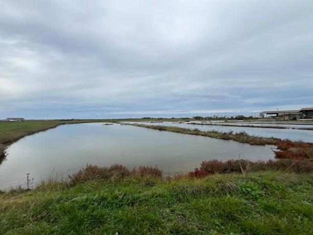 Maison vente à France métropolitaine, Nieulle-sur-seudre