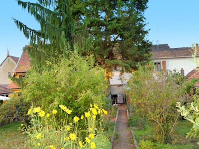 Maison vente à Thann-Guebwiller, Ensisheim