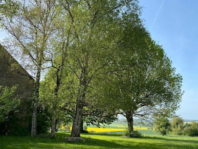 Maison vente à Châteauroux, Palluau-sur-indre
