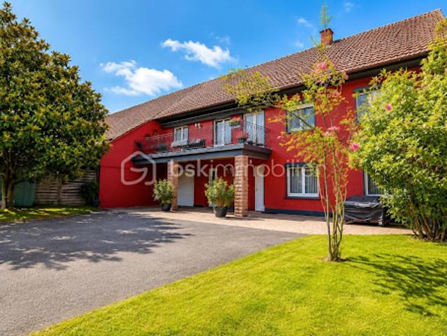 Maison vente à Colmar-Ribeauvillé, Ostheim