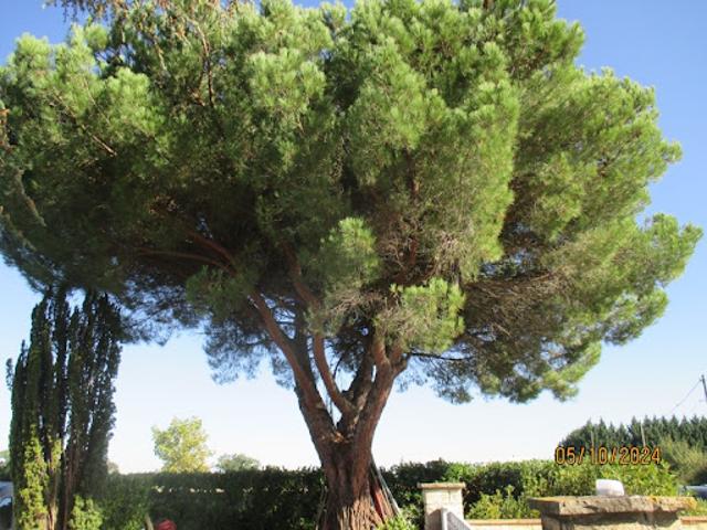 Maison vente à Pamiers