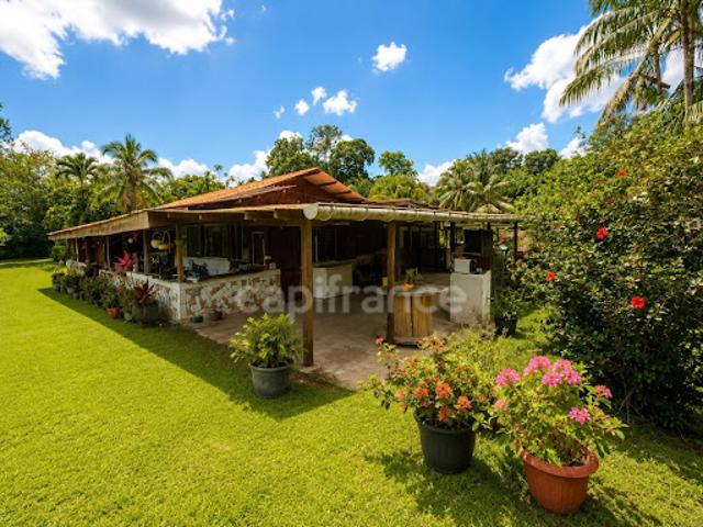 Maison vente à Guyane