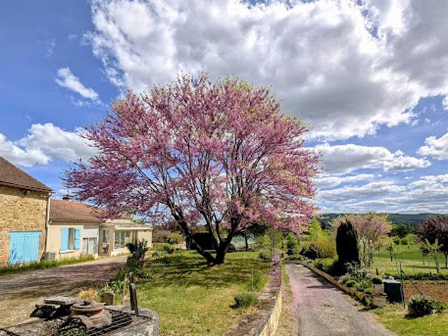 Maison vente à Cahors, Duravel