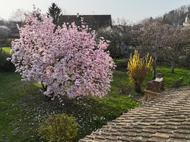Maison vente à Lons-le-Saunier, Montmorot
