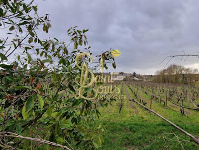 Maison vente à Chinon, Sazilly