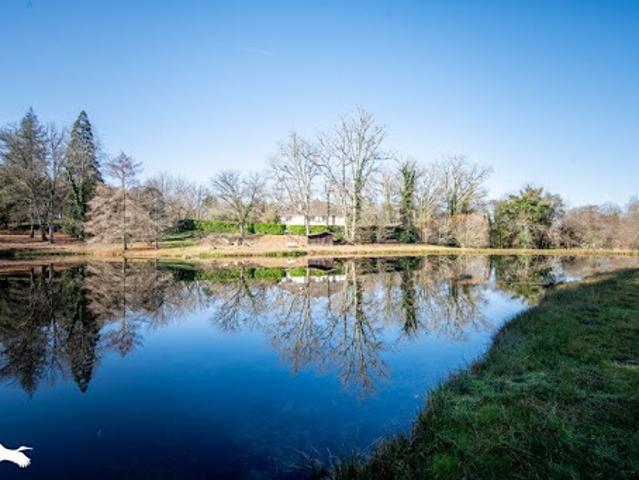 Maison vente à Lévignacq