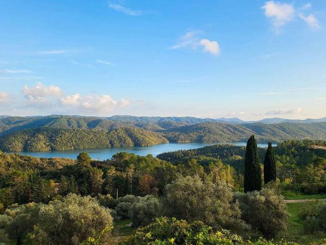 Maison vente à Arrondissement de Draguignan, Montauroux