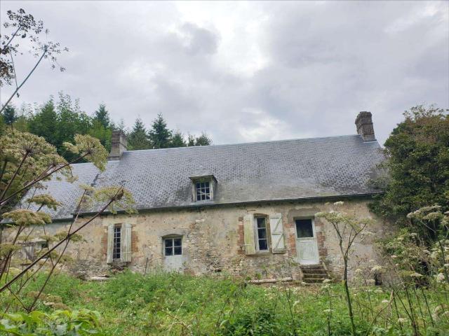 Maison vente à Mortagne-au-Perche, Planches