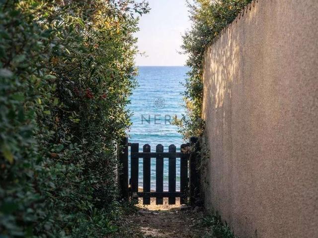 Maison vente à Ajaccio, Grosseto-prugna