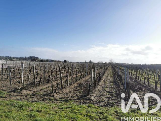 Maison vente à Libourne, Saint-sulpice-de-faleyrens