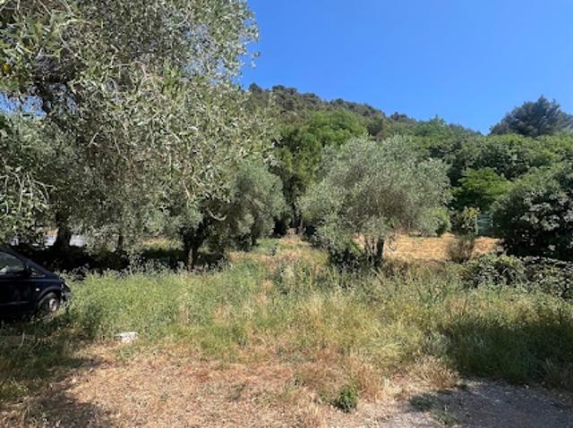 Maison vente à France métropolitaine, Drap