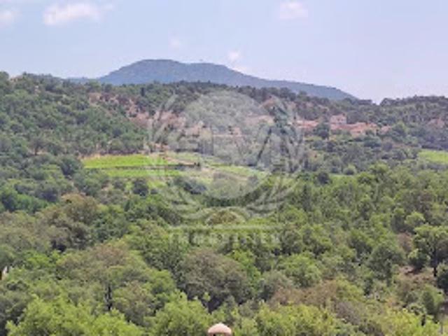 Maison vente à Arrondissement de Draguignan, Plan-de-la-tour