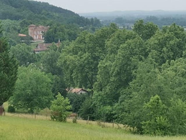 Maison vente à Montauban, Piquecos