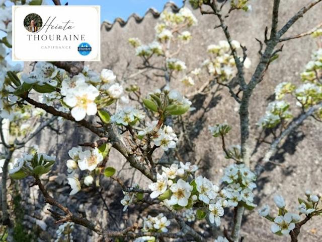 Maison vente à Niort, Nanteuil