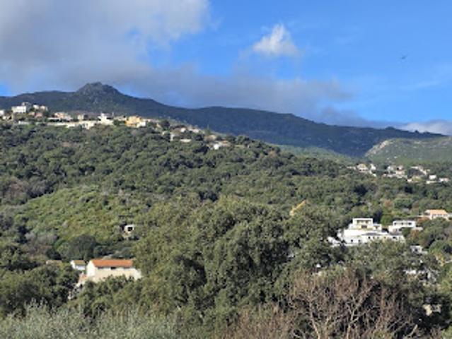 Maison vente à Bastia, Borgo