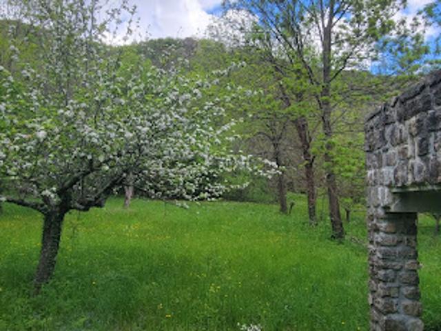 Maison vente à Largentière, Mayres