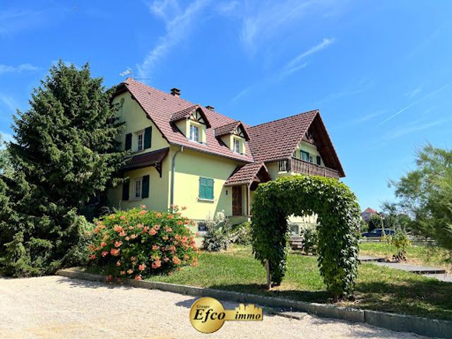Maison vente à Mulhouse, Wahlbach