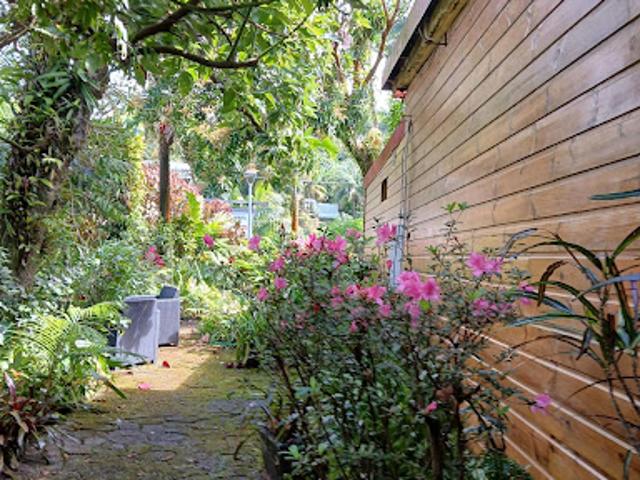Maison vente à La Réunion