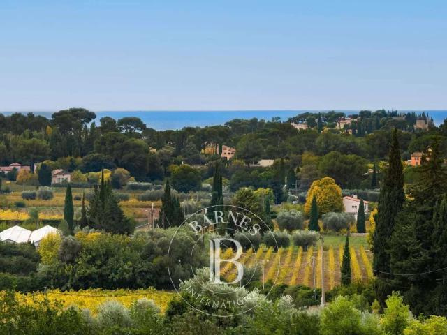 Maison vente à Marseille, Cassis