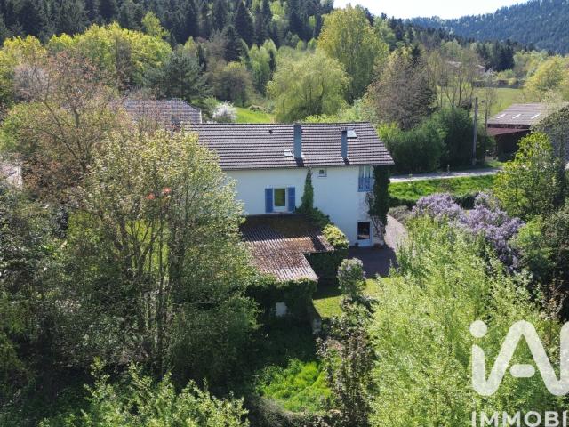 Maison vente à Saint-Dié-des-Vosges, Saint-michel-sur-meurthe
