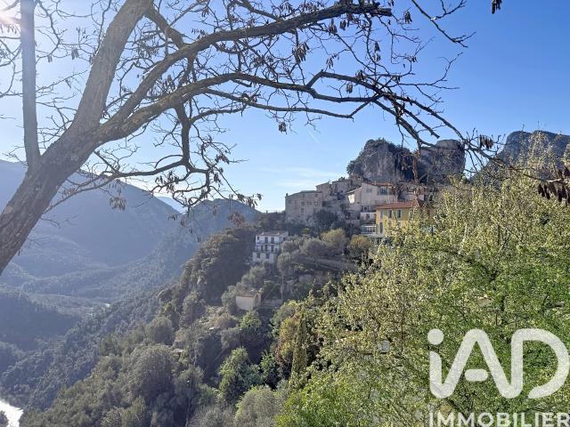 Maison vente à Nice, Gilette