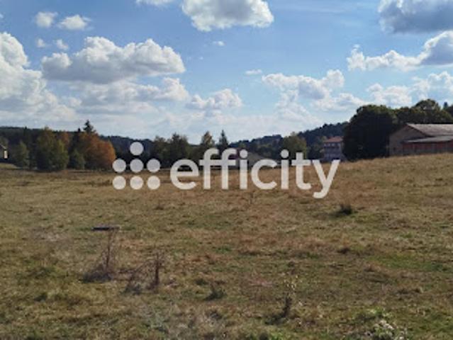 Maison vente à Lotissement l'Orée de l'Auvergne, Viverols
