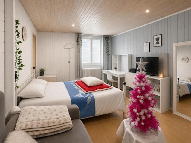 Maison vente à Saint-Étienne, La Ricamarie
