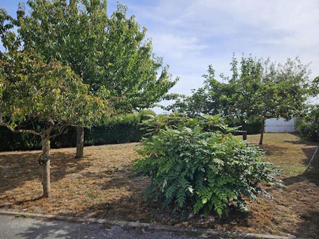 Maison vente à Bouzy, Marne