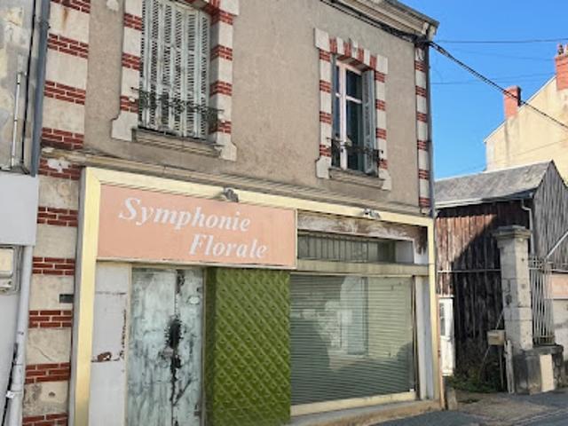 Maison vente à Mamers, Bessé-sur-braye