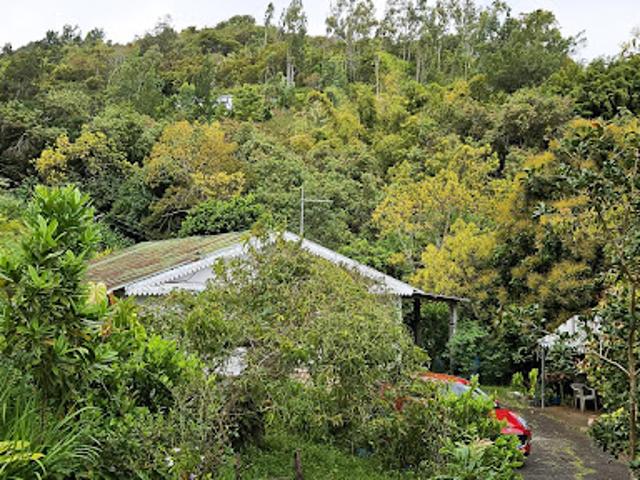 Maison vente à La Réunion