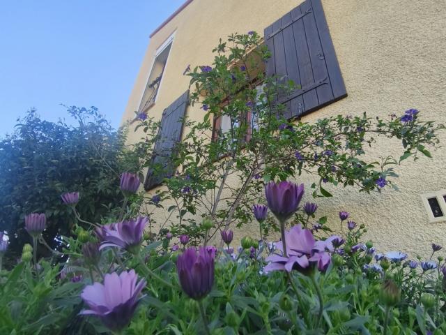 Maison vente à Perpignan, Claira