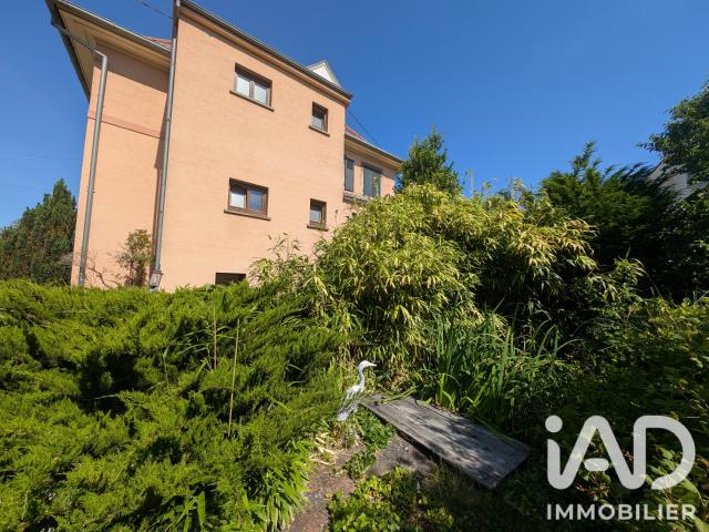 Maison vente à Colmar-Ribeauvillé, Colmar