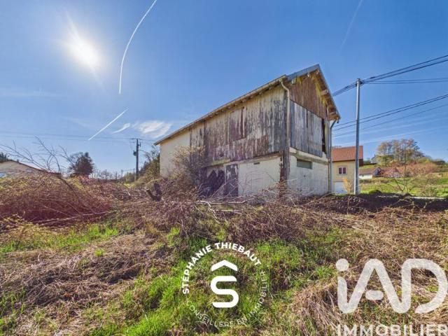 Maison vente à Épinal, Raon-aux-bois