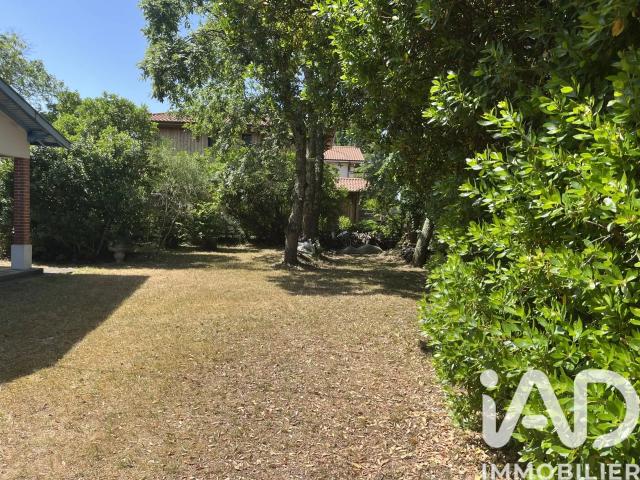 Maison vente à Arcachon, Lanton