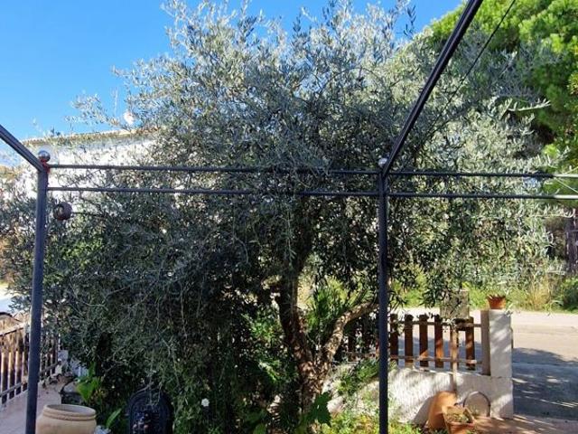 Maison vente à Nîmes, Le Grau-du-roi