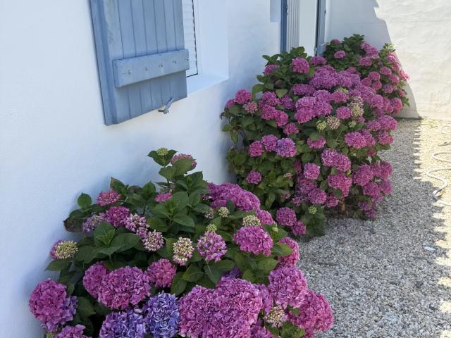 Maison vente à Les Sables-d'Olonne, L'epine