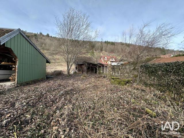 Maison vente à Sélestat-Erstein, Urbeis