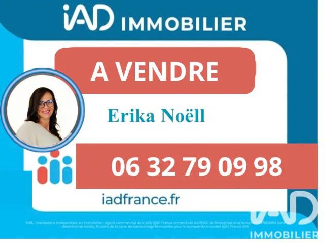 Maison vente à Céret, Laroque-des-albères