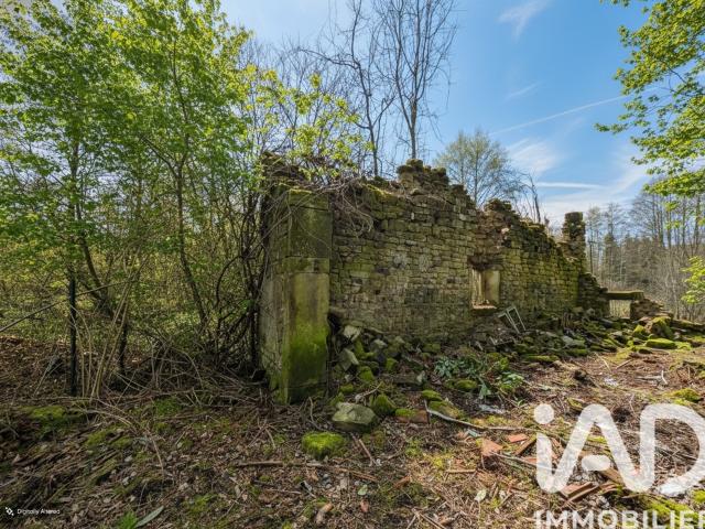 Maison vente à Épinal, La Chapelle-aux-bois