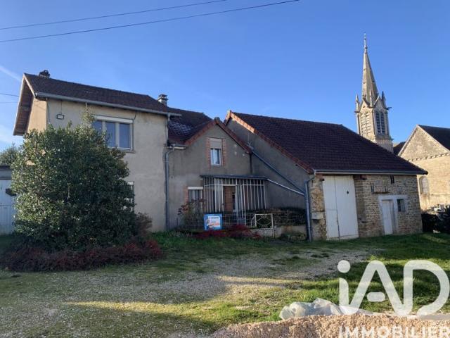 Maison vente à Langres, Violot