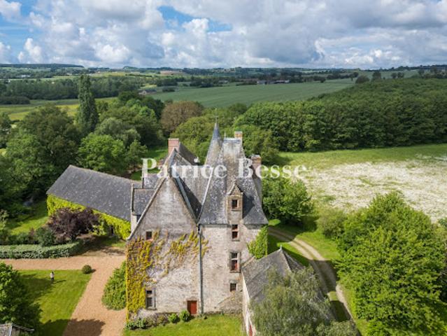 Château vente à La Coque, Saint-Rémy-de-Sillé