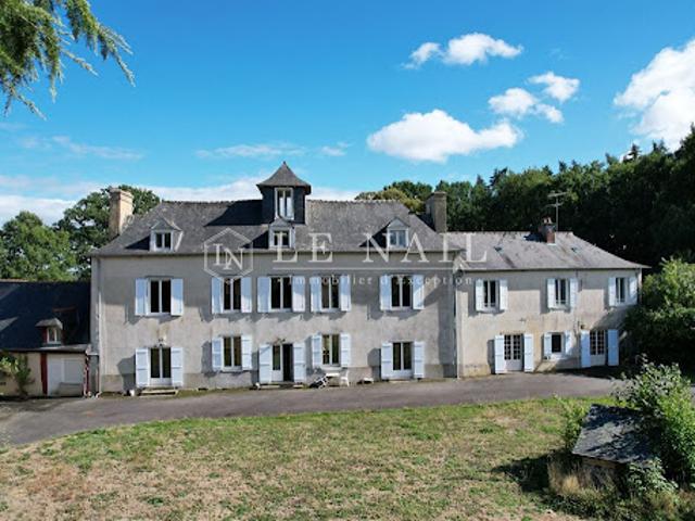 Château vente à Centre-Ville, Rennes