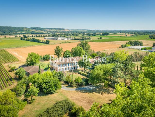Château vente à Albi, Gaillac