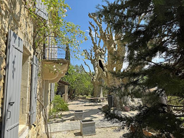 Ferme vente à Nyons, Saint-paul-trois-châteaux
