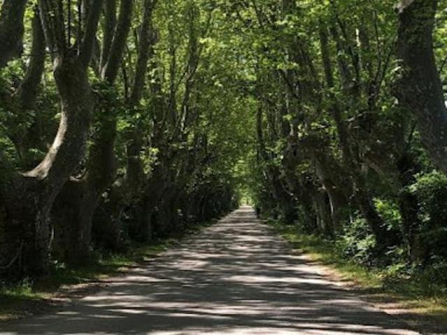 Ferme vente à Carpentras, Châteauneuf-du-pape