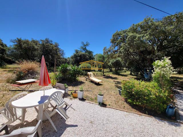 Ferme vente à Montpellier, Vic-la-gardiole