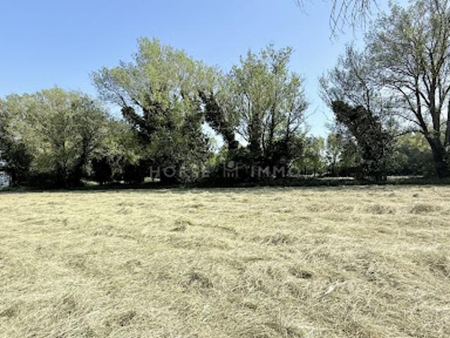 Ferme vente à Arles, Fontvieille